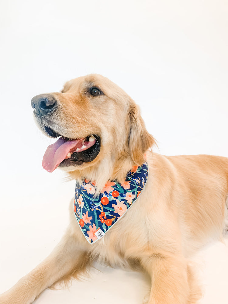 
                
                    Load image into Gallery viewer, The Foggy Dog Inky Blooms Bandana
                
            