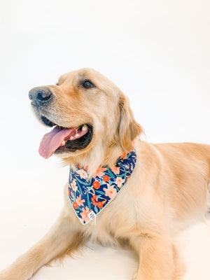 
                
                    Load image into Gallery viewer, The Foggy Dog Inky Blooms Bandana
                
            